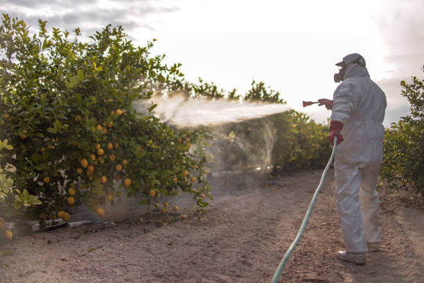 Best Emergency Pest Control  in Arlington, GA