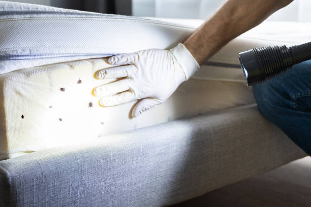 Best Affordable Pest Control Services  in Arlington, GA